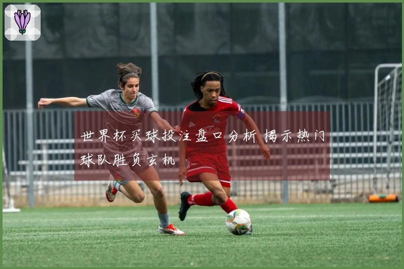 世界杯买球投注盘口分析 揭示热门球队胜负玄机