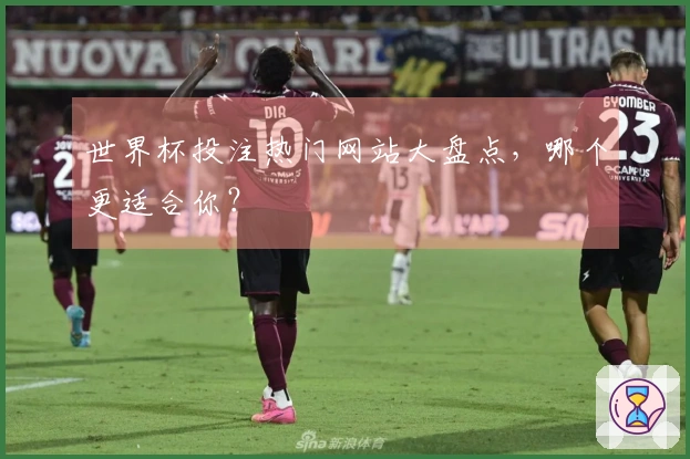 世界杯投注热门网站大盘点，哪个更适合你？